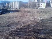 До устранения