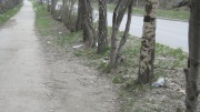 До устранения
