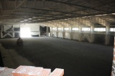 IMG_9164.JPG