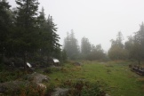 IMG_7729.JPG