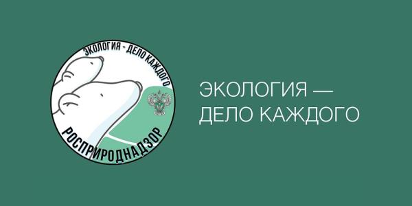 Златоустовцы могут принять участие в конкурсном отборе Международной премии «Экология – дело каждого»
