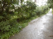 После устранения