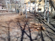 До устранения