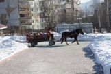 IMG_2646.JPG