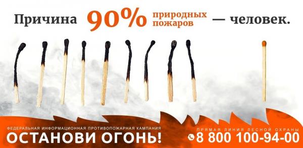 Оперативная информация 