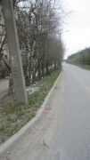 До устранения