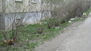 До устранения