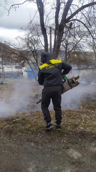 В Златоусте началась противоклещевая обработка общественных пространств